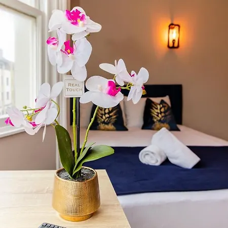 Flash Sale Super Central Studio I Next To Brighton Seafront I King Size Bed I Ms19 Exterior photo